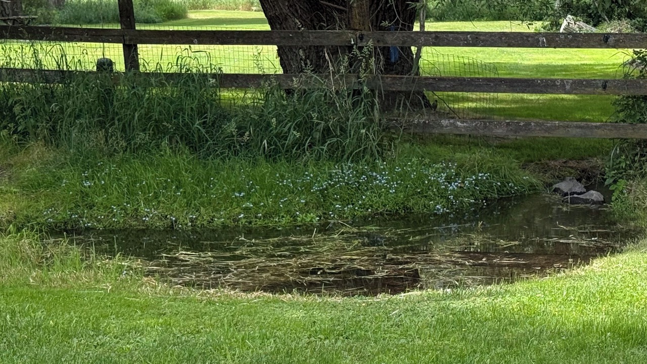 Photo of Outdoor in Spokane