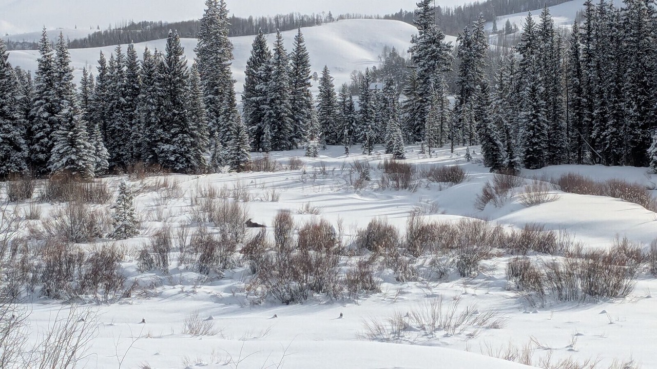 Photo of Others in Bondurant