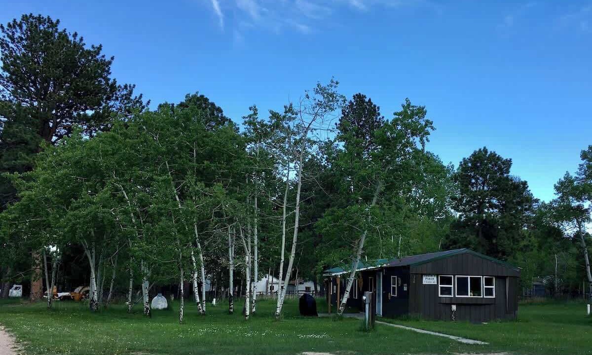 Photo of Others in Saddlestring