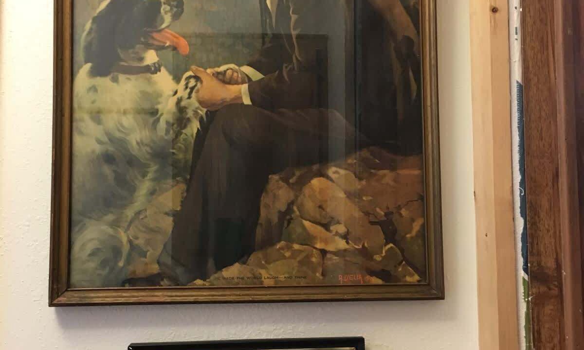 Photo of Others in Saddlestring