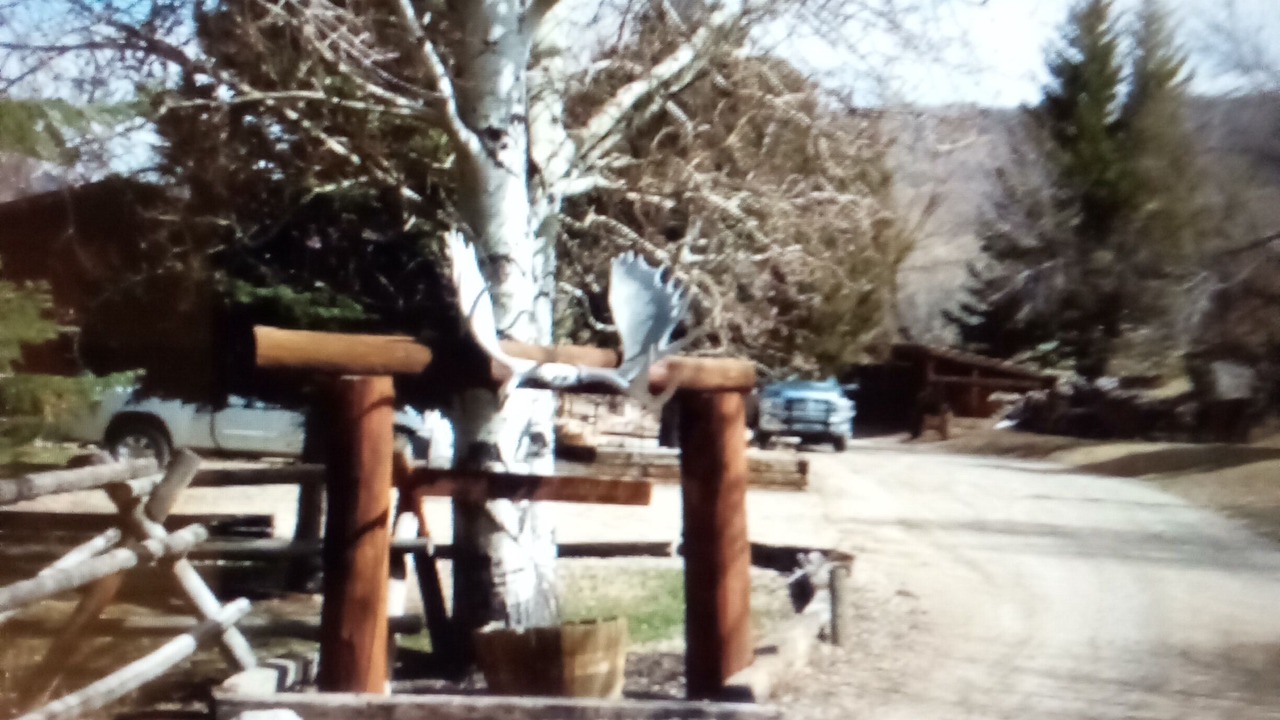 Photo of Others in Wapiti