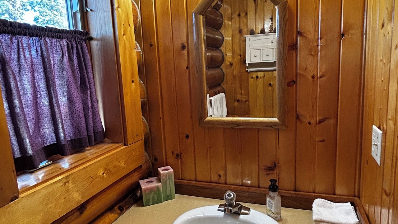 Photo of Bathroom in Seeley Lake