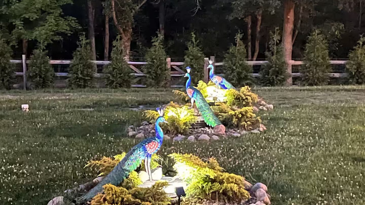 Photo of Outdoor in Medina