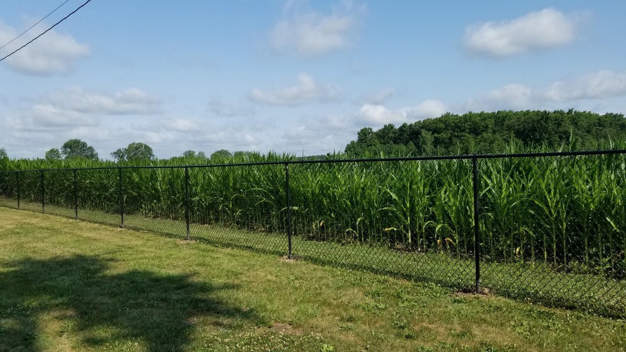 Photo of Outdoor in Lakeview