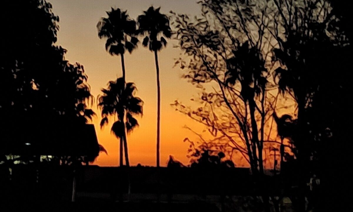 Photo of Others in South Redondo