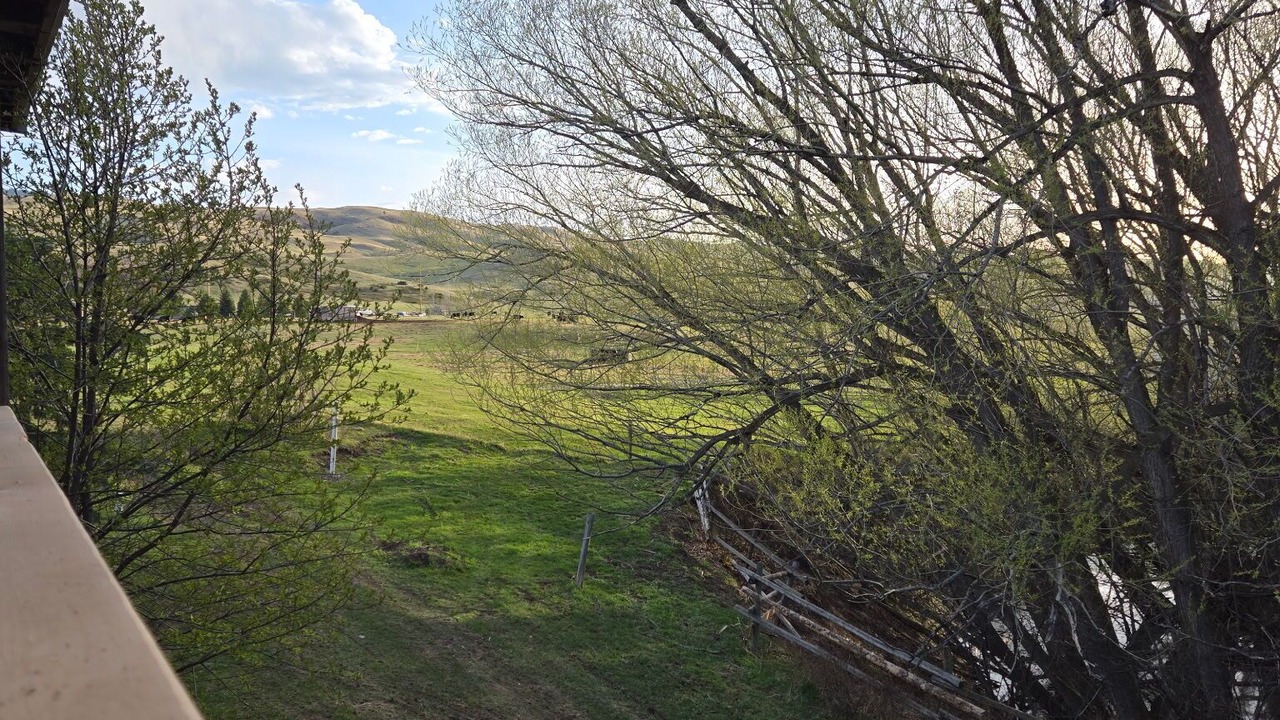 Photo of Outdoor in Livingston