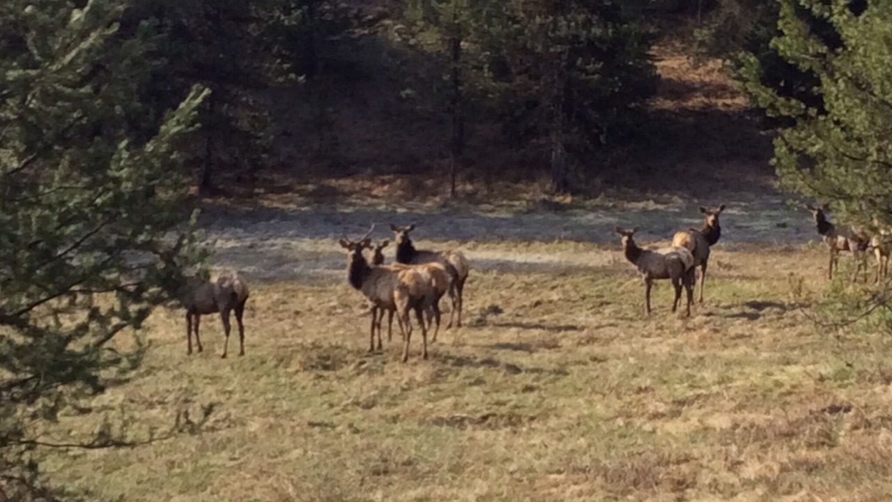 Photo of Others in Elk City