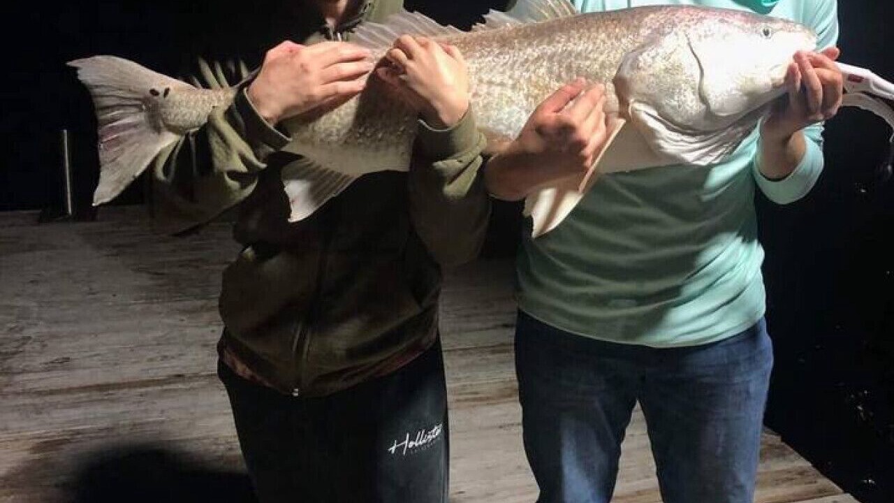 Photo of Others in Port Lavaca