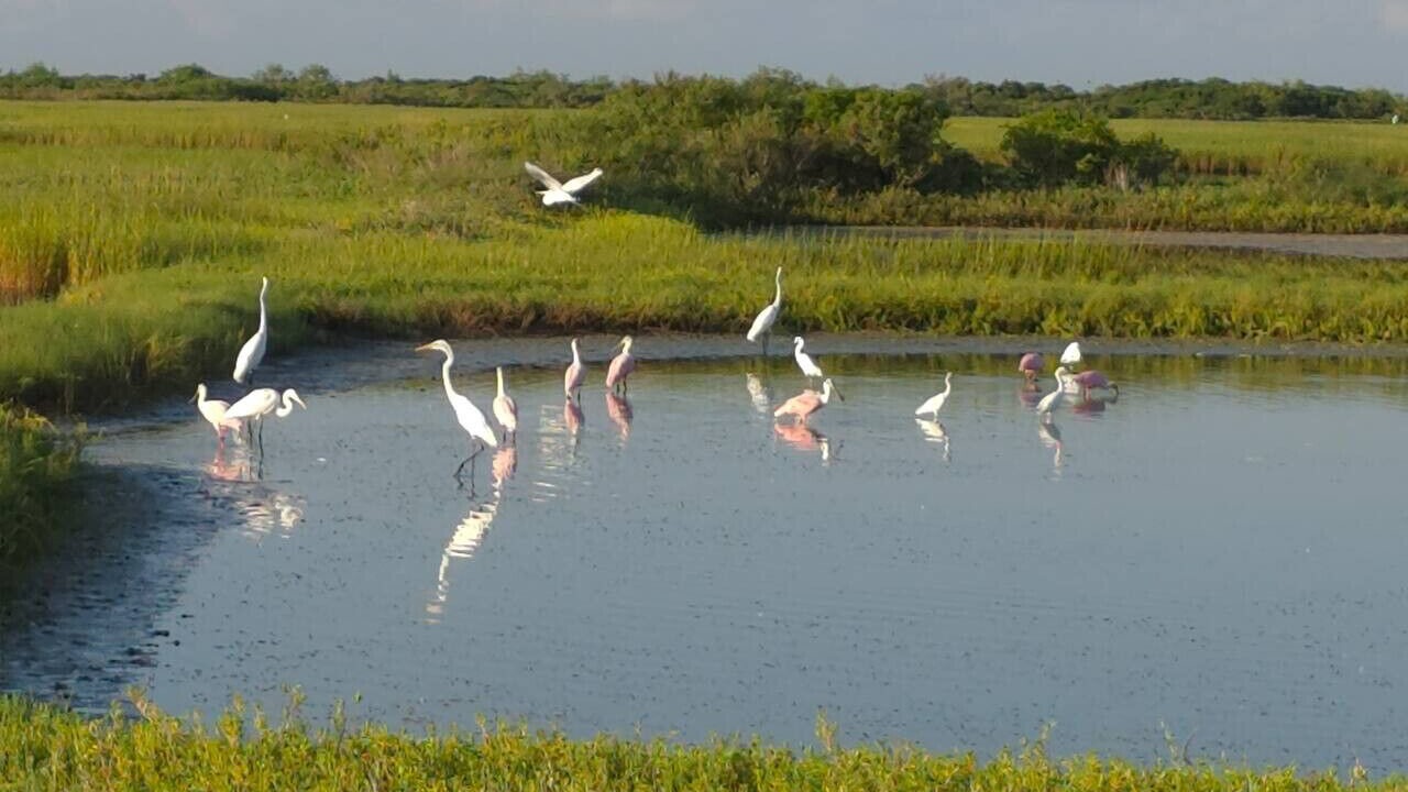 Photo of Others in Port Lavaca