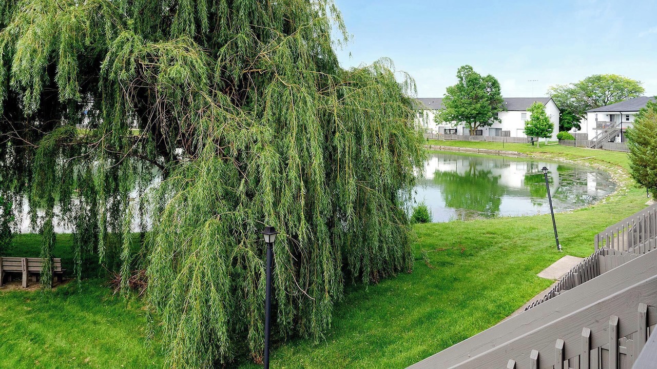 Photo of Outdoor in Indianapolis