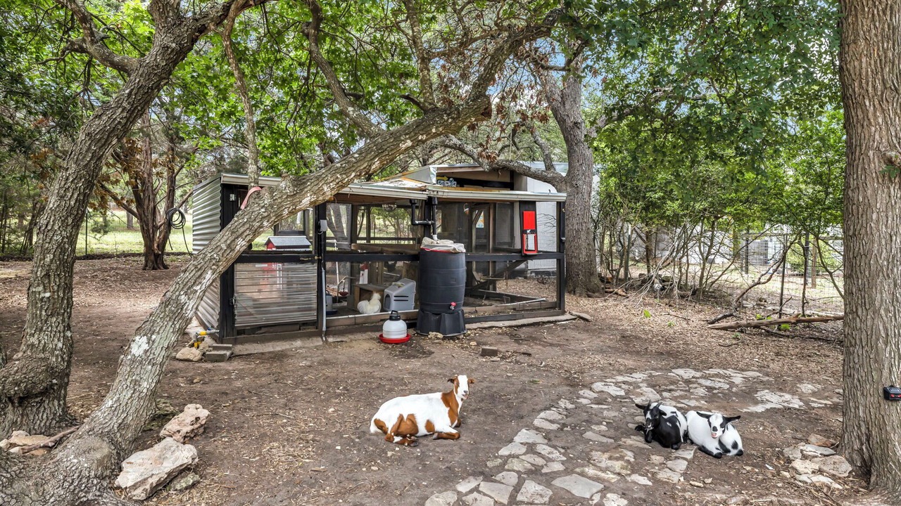 Photo of Others in Austin