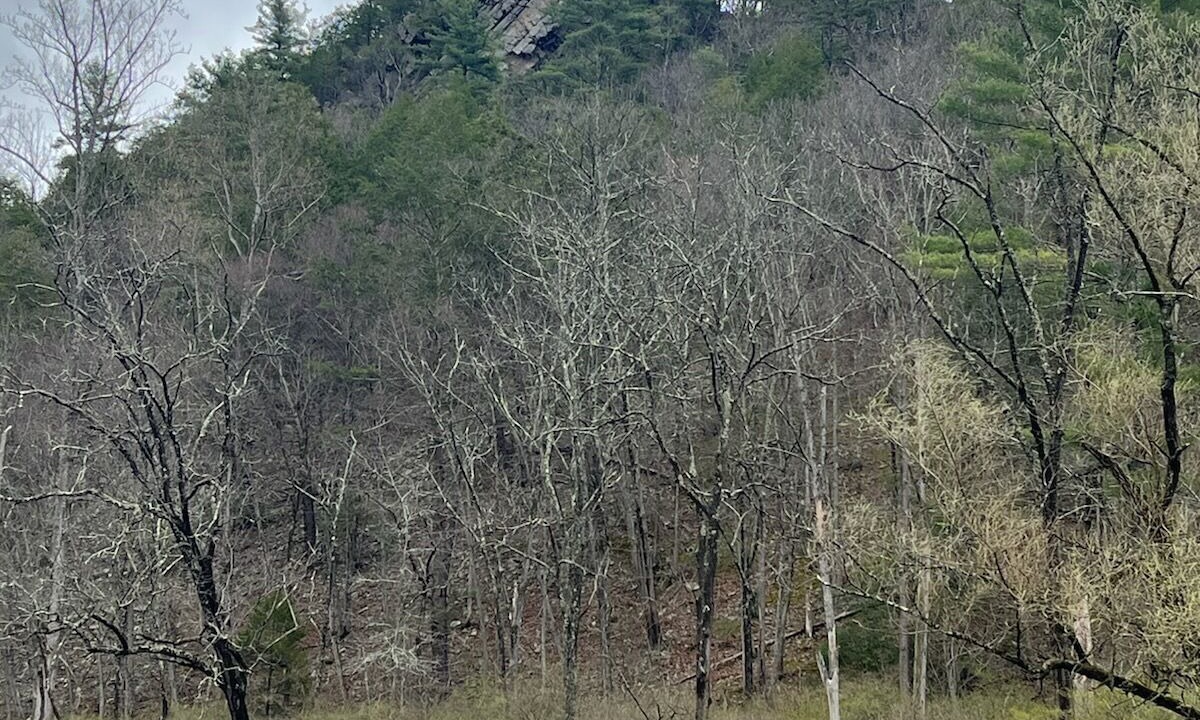 Photo of Others in Coburn