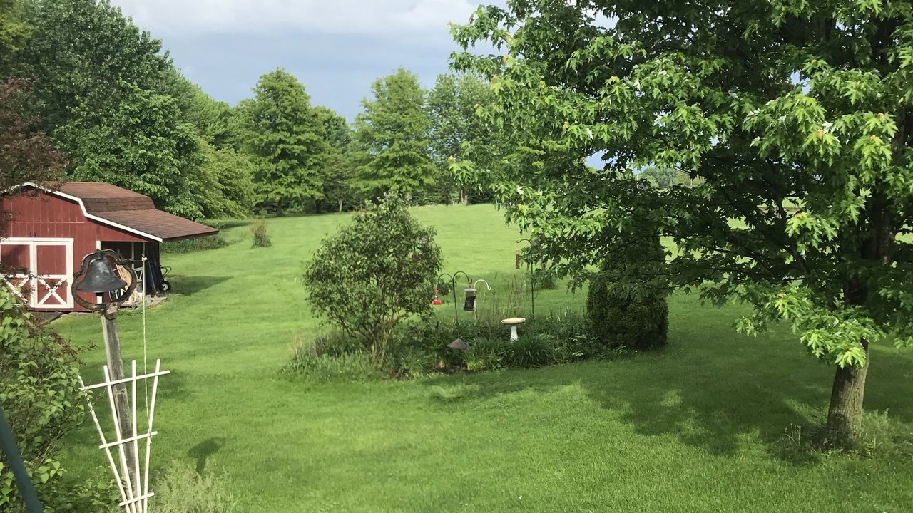 Photo of Outdoor in Mogadore