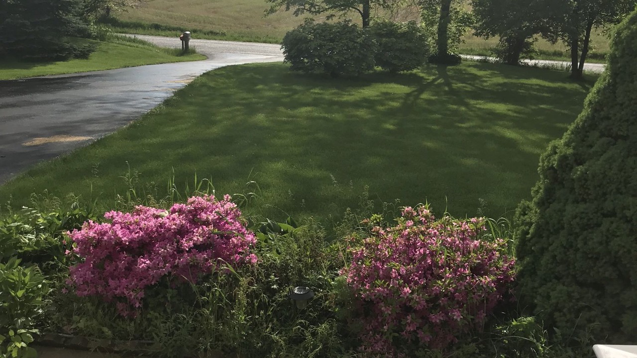 Photo of Outdoor in Mogadore