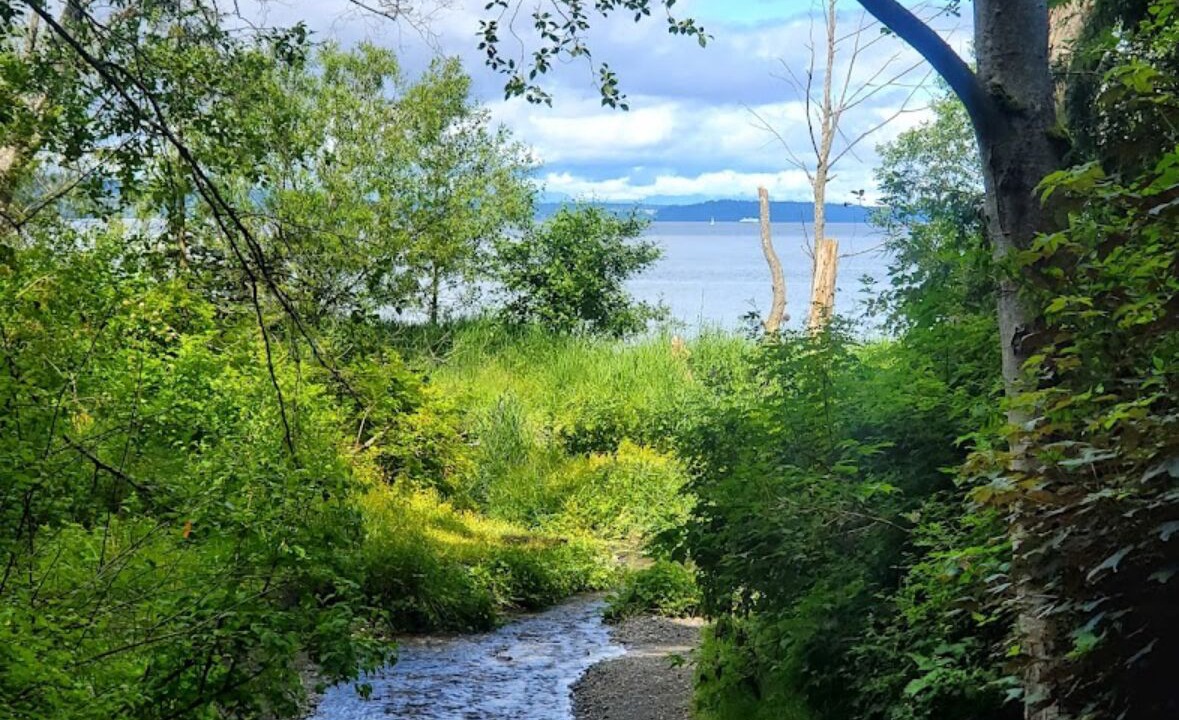 Photo of Others in Seattle Metro Area