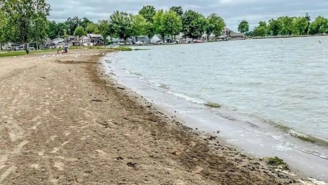 Photo of Others in Lakeview