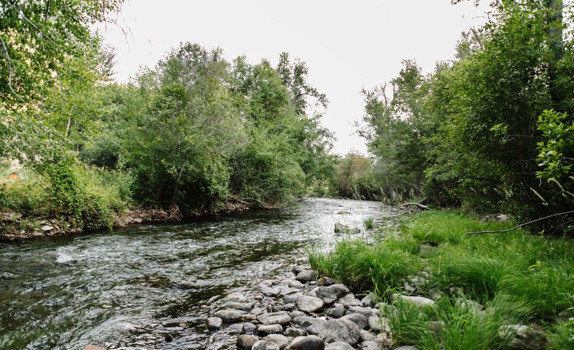 Photo of Others in Lemhi County