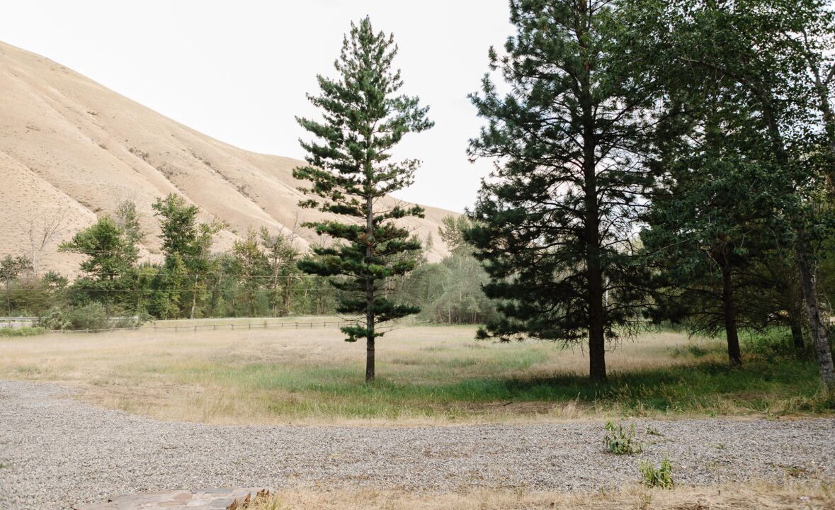 Photo of Others in Lemhi County