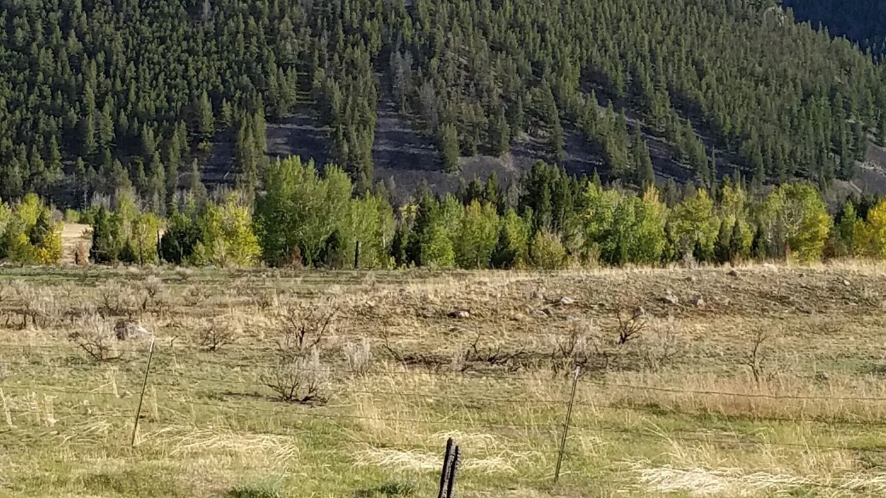 Photo of Outdoor in Wise River