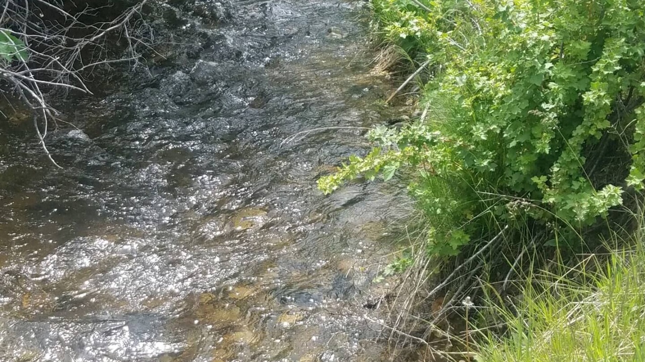 Photo of Others in Wise River