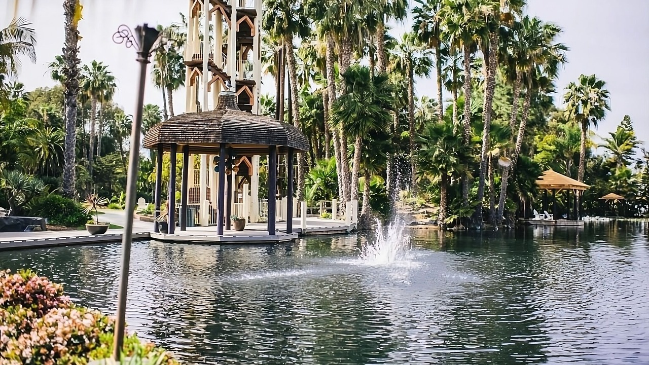 Photo of Outdoor in San Diego