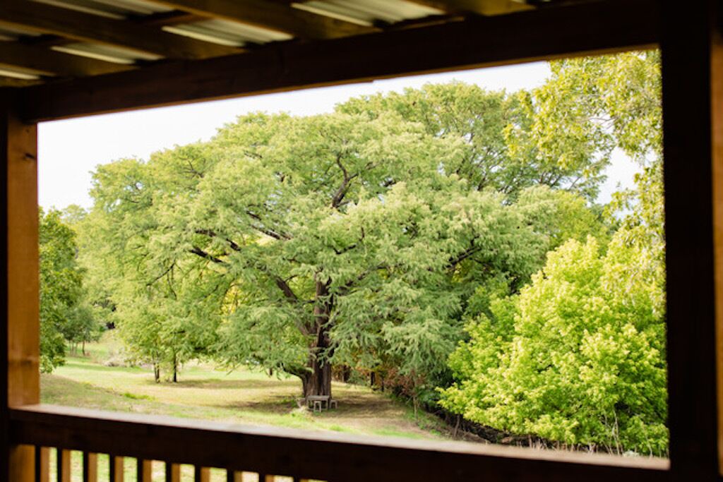 Photo of Others in Stonewall