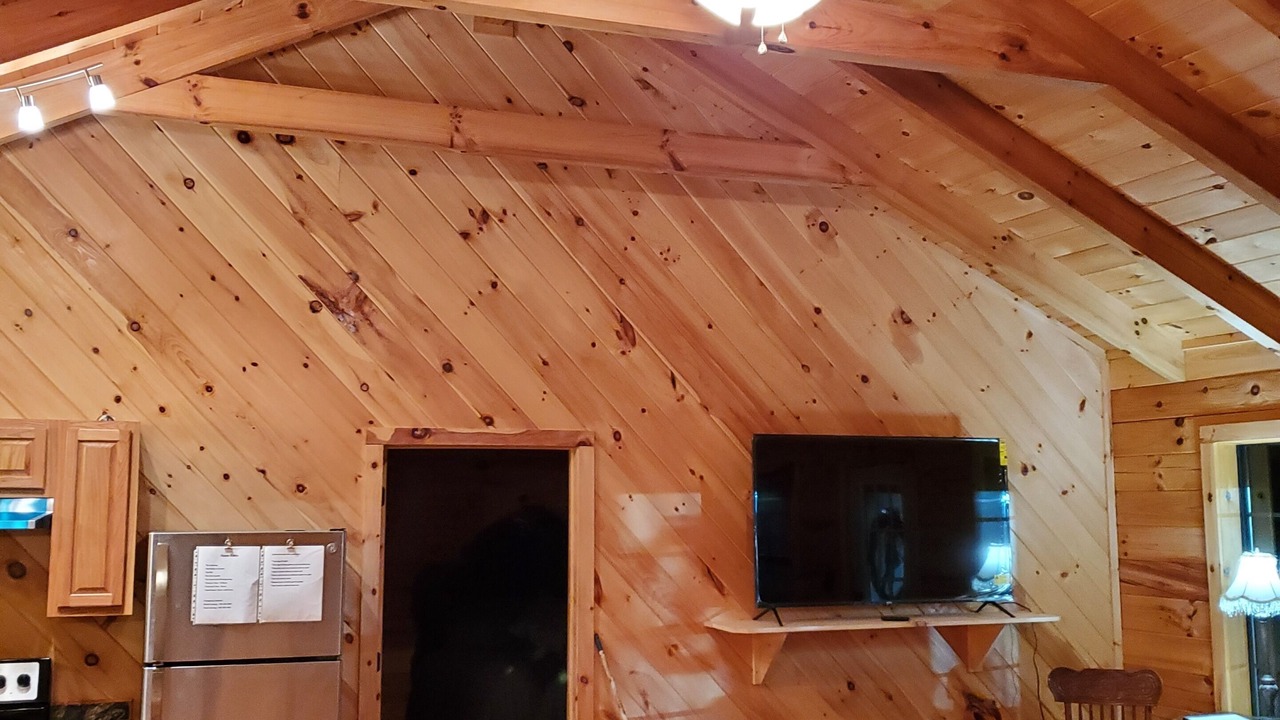 Photo of Livingroom in Winona