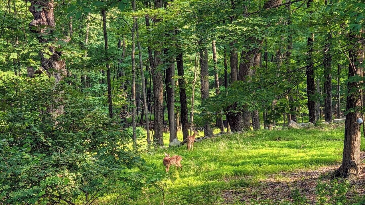 Photo of Others in Bloomingburg