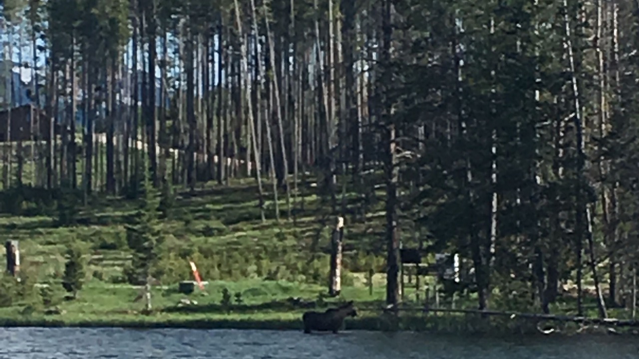 Photo of Others in Anaconda