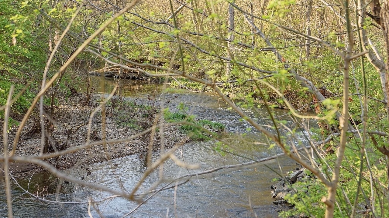Photo of Others in New Carlisle