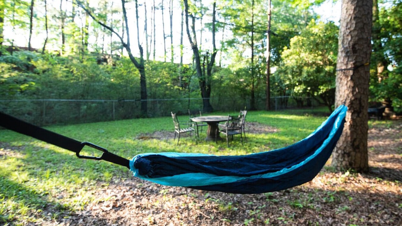 Photo of Outdoor in Reservoir