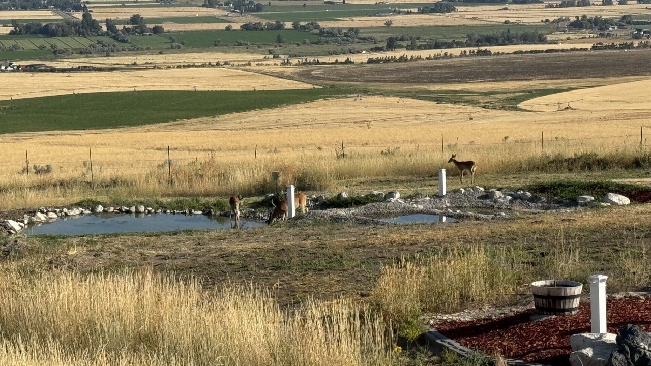 Photo of Others in Idaho Falls
