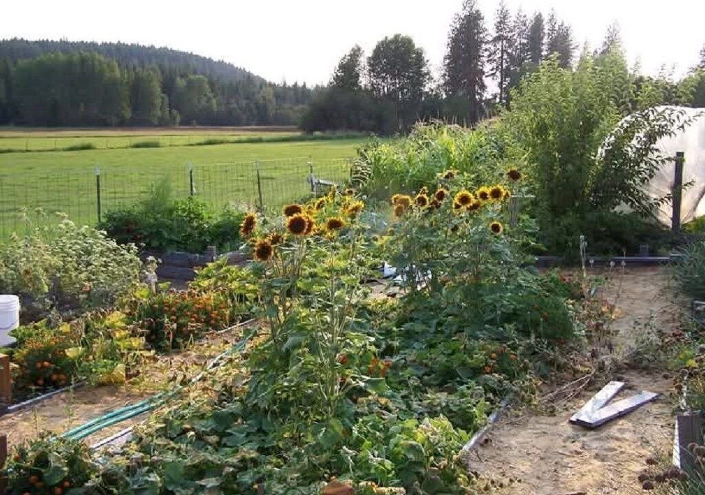Photo of Outdoor in Athol
