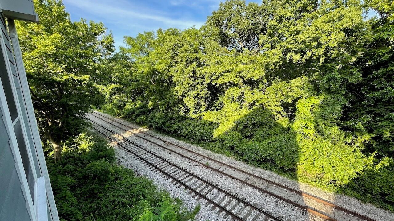 Photo of Others in Mount Lookout