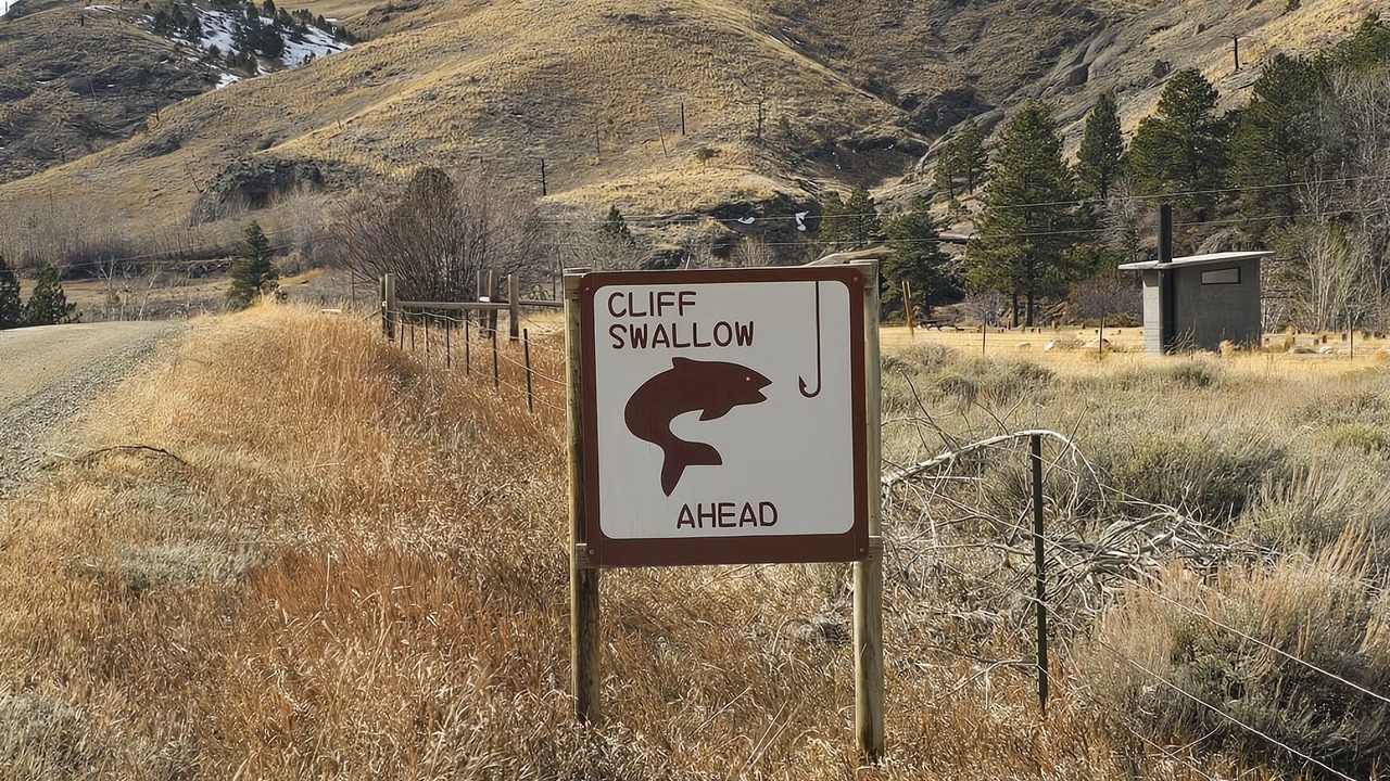 Photo of Others in Nye