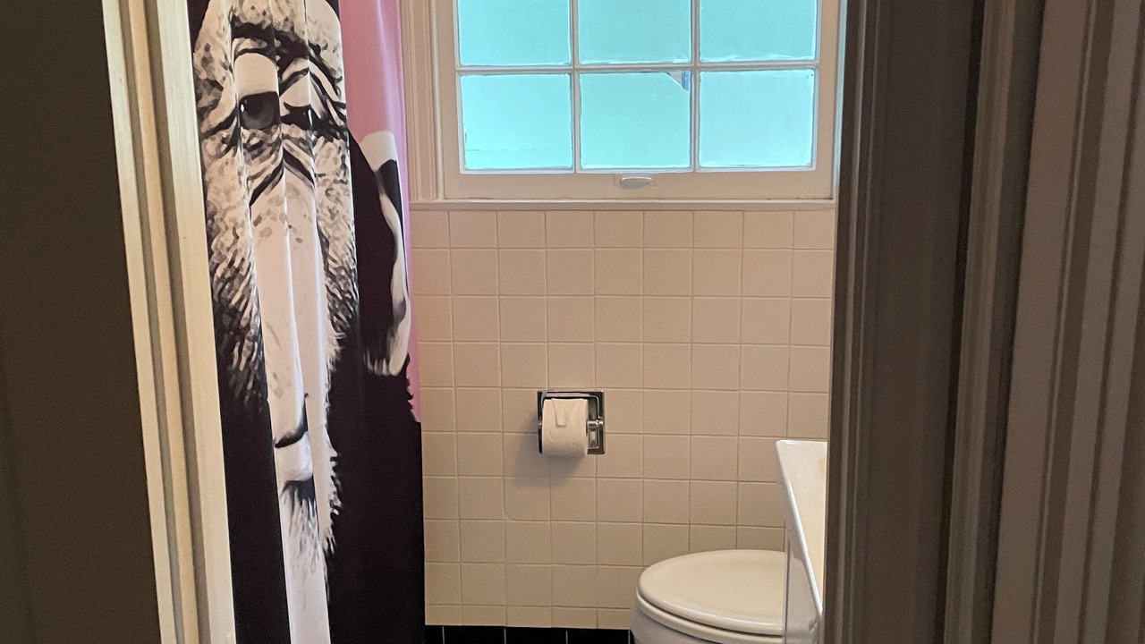 Photo of Bathroom in Plaza Midwood