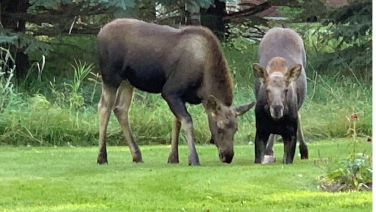 Photo of Others in Teton Pines