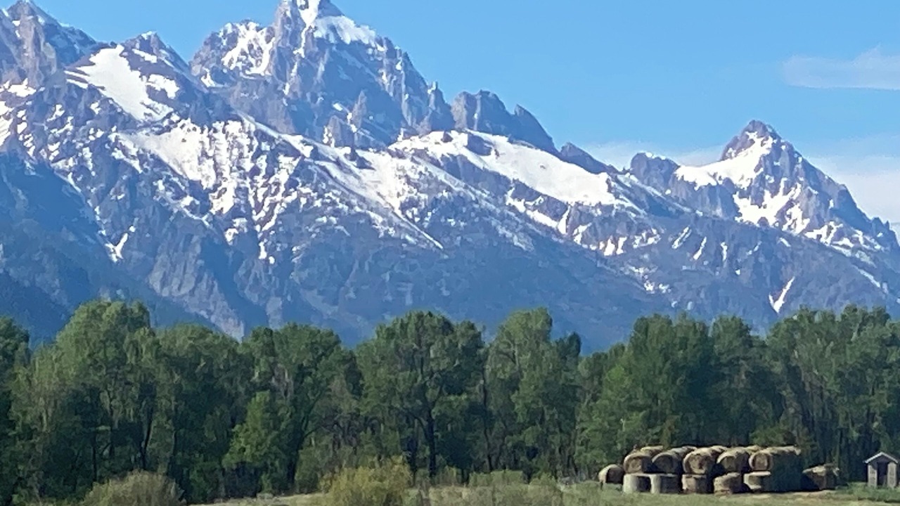 Photo of Others in Teton Pines