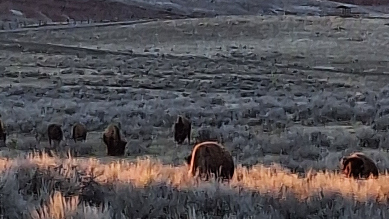 Photo of Others in Thermopolis