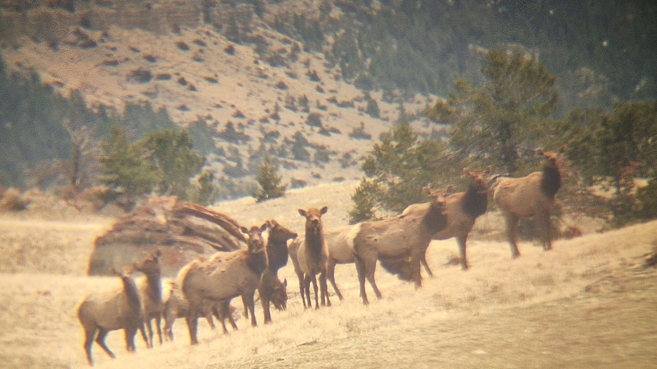 Photo of Others in Thermopolis