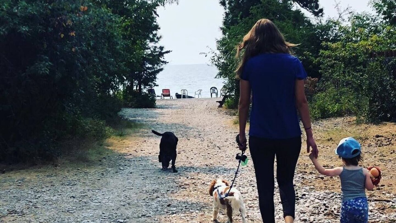 Photo of Others in Woods Bay