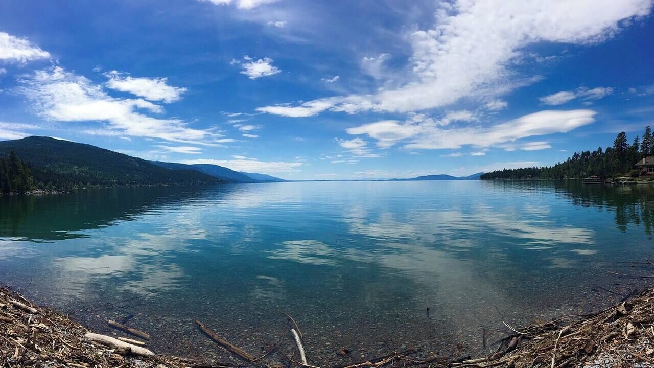 Photo of Others in Woods Bay