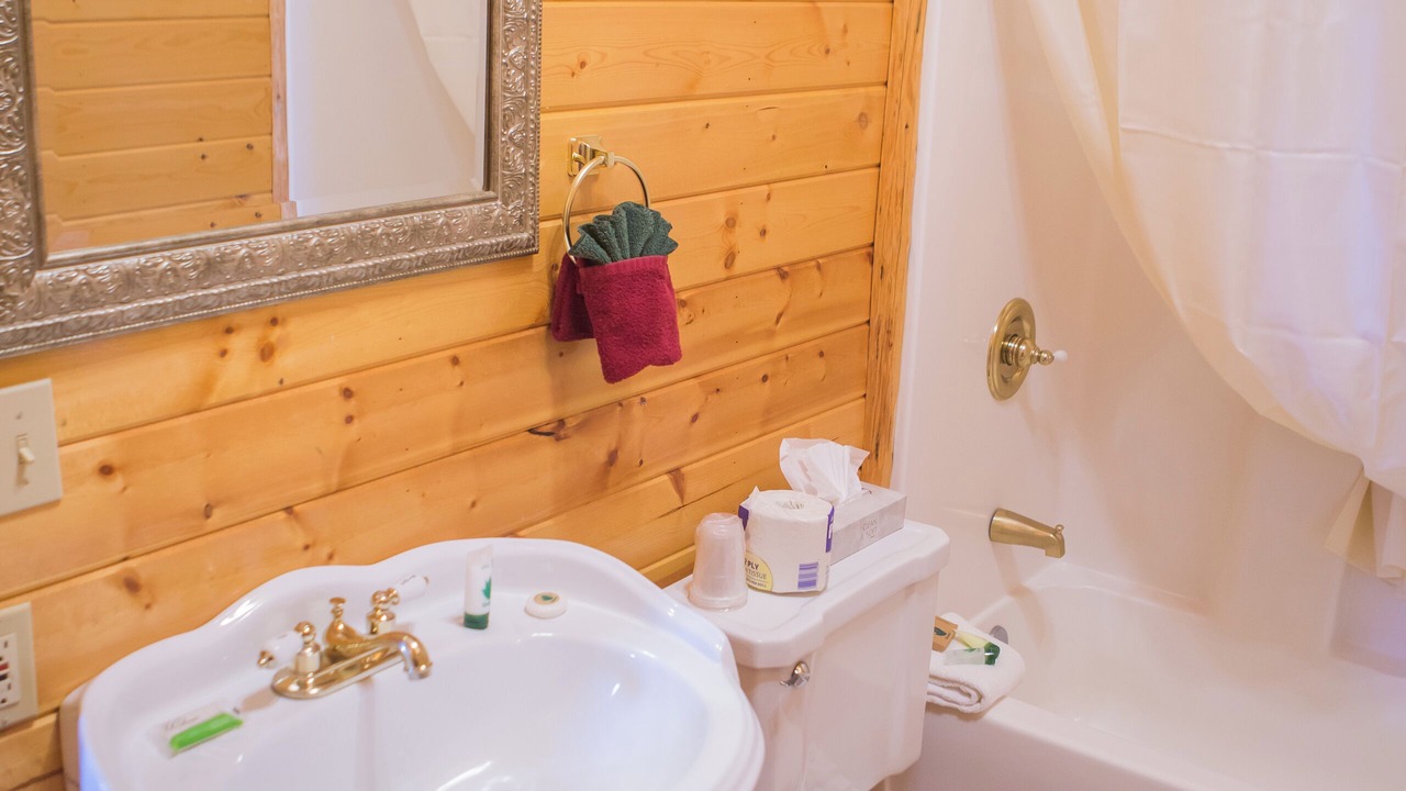 Photo of Bathroom in Last Chance