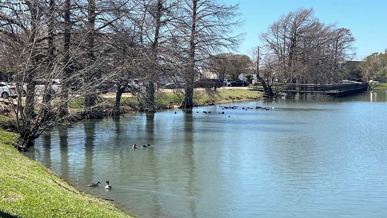 Photo of Others in Nassau Bay