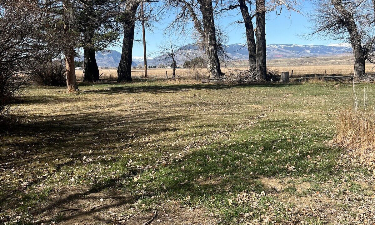 Photo of Others in Cody