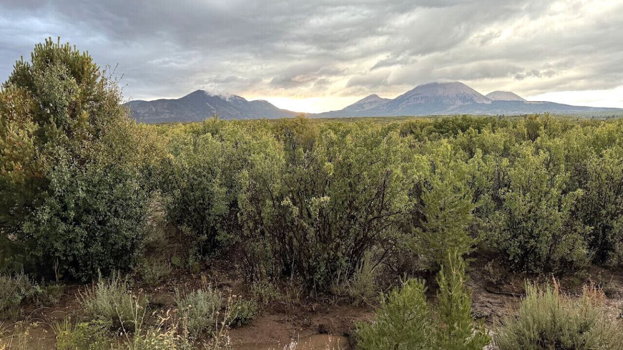 Photo of Others in La Sal