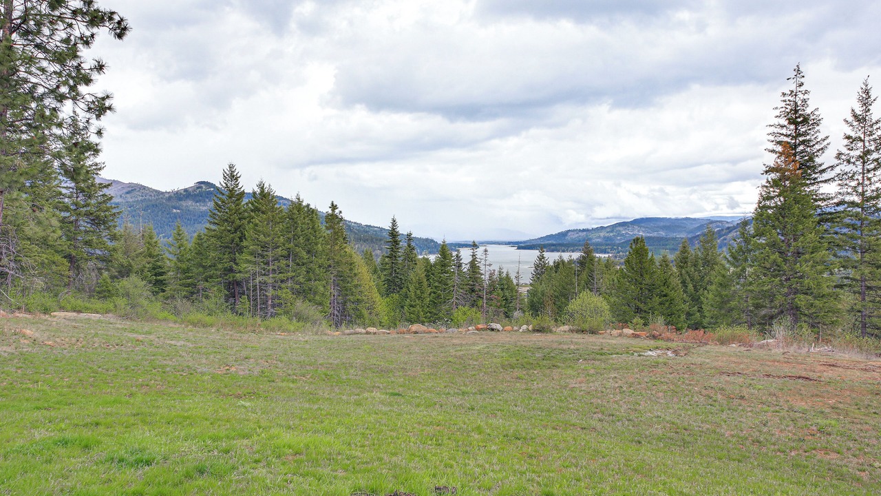 Photo of Others in Priest River