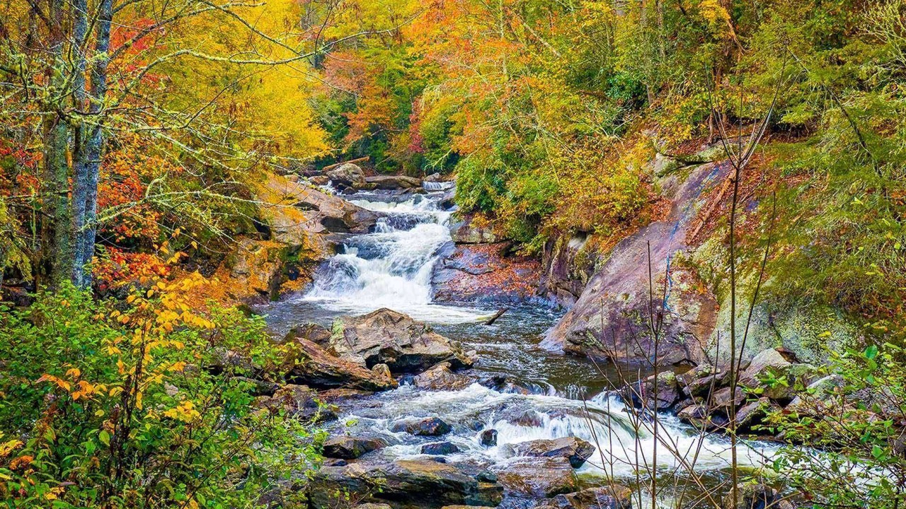 Photo of Others in Paw Creek