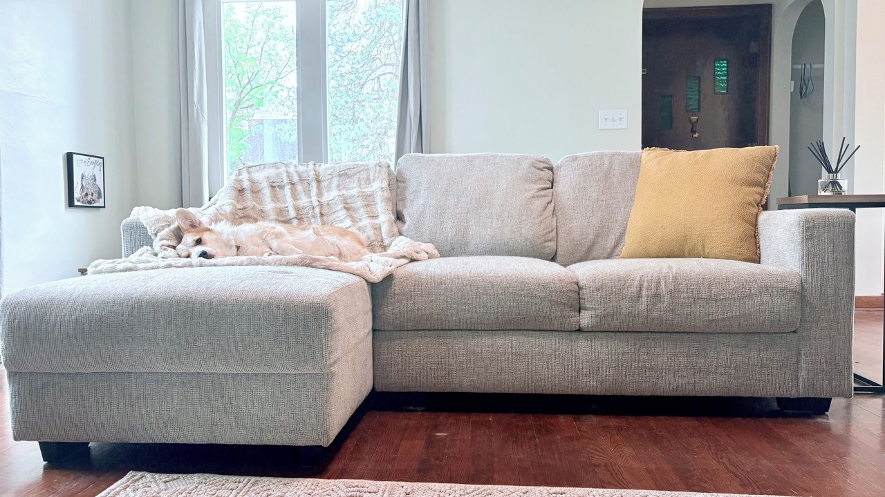 Photo of Livingroom in South Perry District