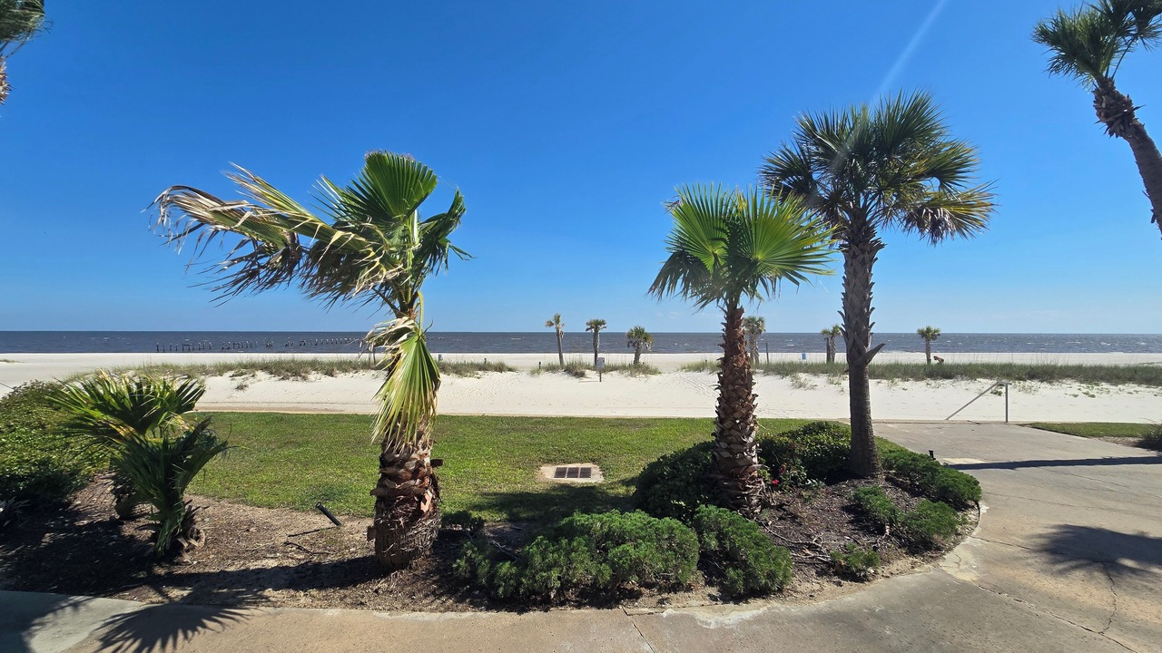 Photo of Others in Henderson Point